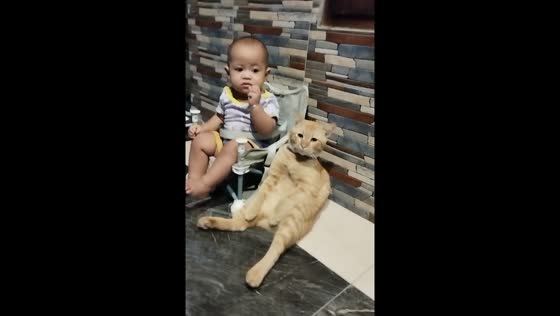Toddler and cat share a moment on the terrace in Blitar, Indonesia
