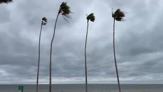 Strong winds sweep across Tampa Bay during low-pressure system in St. Petersburg, Florida, USA