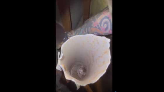 Unlikely luck: rescuers save kitten trapped in metal pipe