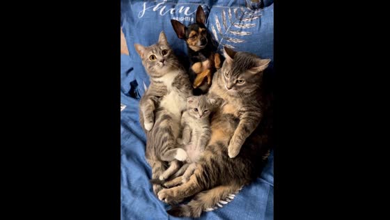 A failed group photo and their reaction when the doorbell rang!