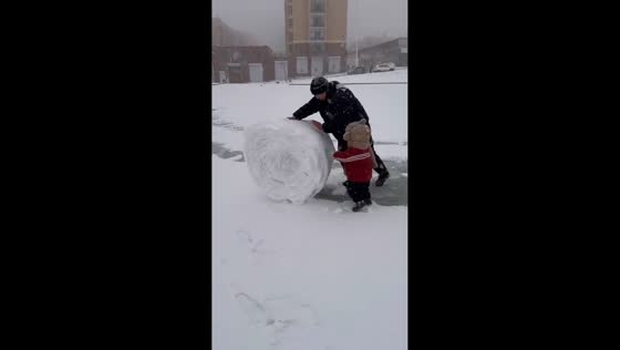  Child falls while helping father roll snow in Heilongjiang, China