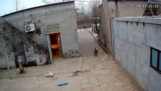 Young girl bumps head while playing on iron gate in Zhejiang, China