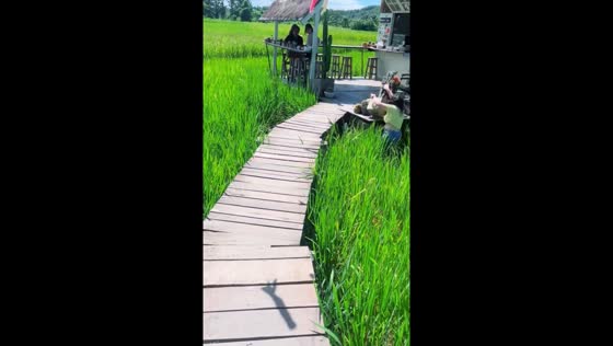 Person falls off path while distracted in Thailand