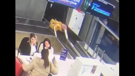 Woman falls onto baggage conveyor at Vladikavkaz airport, Russia