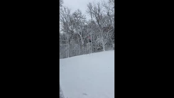 Fresh snowfall transforms neighborhood into a winter landscape in Anoka, Minnesota, USA
