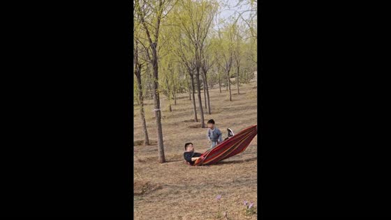 Man falls after hammock rope breaks in Hebei, China