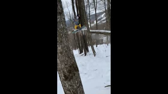 Snowboarder fails to balance on tree log in New York, USA