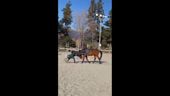 Man awkwardly loses balance while riding a horse in Beijing, China