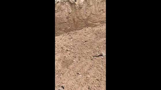 Construction workers chase rabbit inside excavation site in Istanbul, Turkey