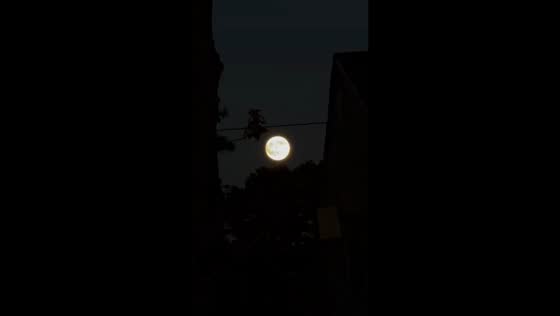 Full moon timelapse from early evening to night in Selden, New York, USA