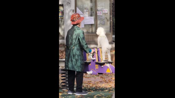 Charming scene in South Korea: elderly woman creates delightful seesaw experience for her pooch