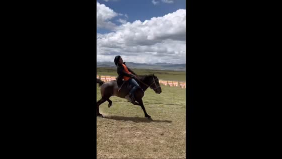 Rider maintains balance on fast-running Mongolian horse in Sichuan, China