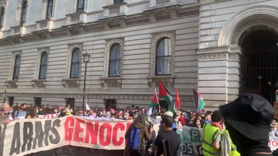 Pro-Palestinian protesters block Foreign Office in London, demanding policy change