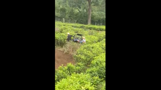 Off-road hilarity in Bandung: UTV joyride takes an unexpected bushy detour