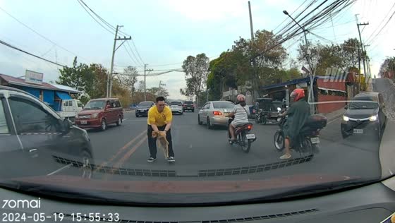 Rescuing a stranded pooch amidst traffic