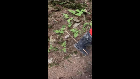 Unexpected mishap during motorbike trail in Carpathian Mountains, Ukraine