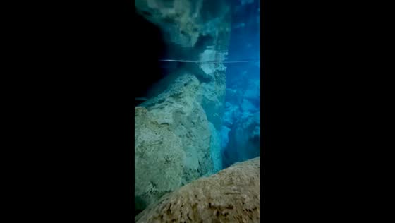 Unexpected cenote darkness: snorkeling adventure in Cancun