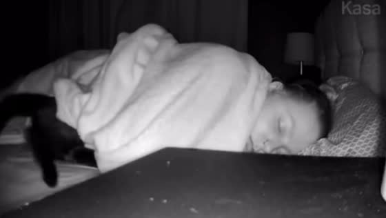 Cat escapes being squished during nap in Hartford, South Dakota