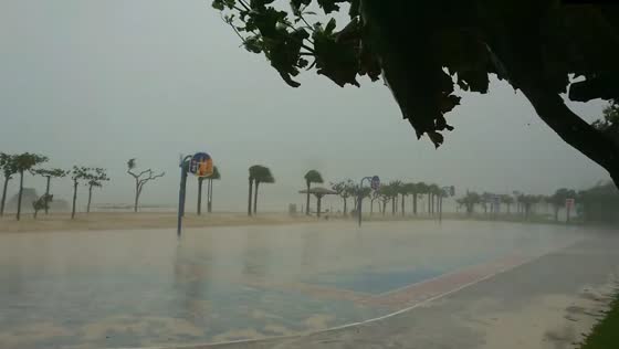 Typhoon no. 6: from fun to forecast - Araha beach experience captured on video