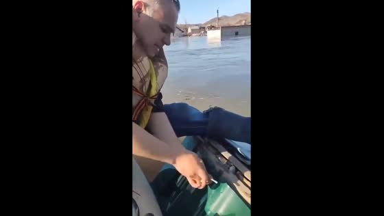 Volunteers rescue cat stranded on submerged house roof
