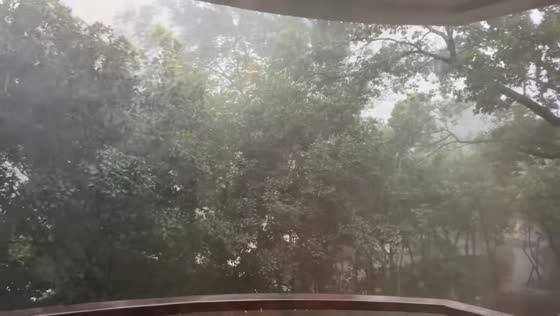 Powerful storm lashes Changning District in Shanghai, China
