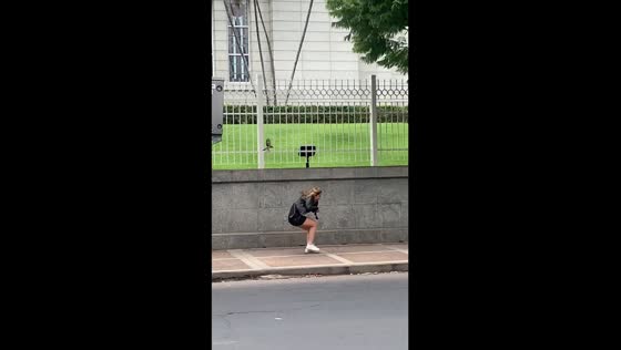 Territorial bird attacks pedestrians on Asunción's Avenida España