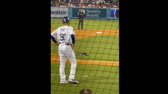Duck interrupts MLB game between Dodgers and Padres in Los Angeles, USA