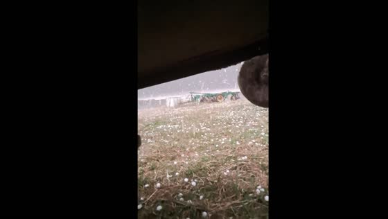 Hailstorm in Young, Uruguay