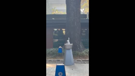 Cat adorably drinks dripping water while sitting beneath a fountain faucet in Bandung, Indonesia