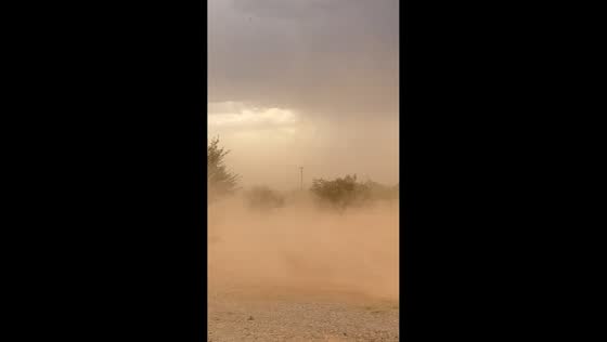 Powerful winds sweep dust across rural land in Hereford, Arizona, USA