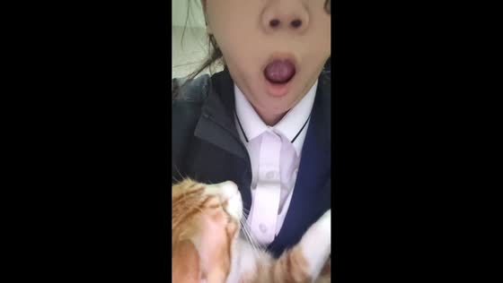 Cat places paw in owner's mouth during yawn in Tianjin, China
