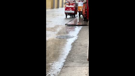 Cockroaches ride water pulses to escape manhole in Guangxi, China