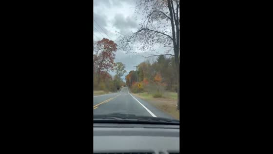 Autumn drive through the colorful streets of Saratoga Springs, USA