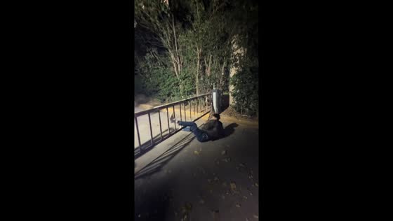 Man trips and falls attempting high jump in Shaanxi, China