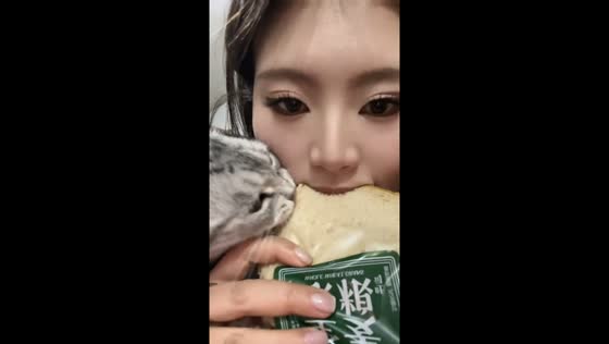 Hungry cat copies owner while eating bread in Tianjin, China