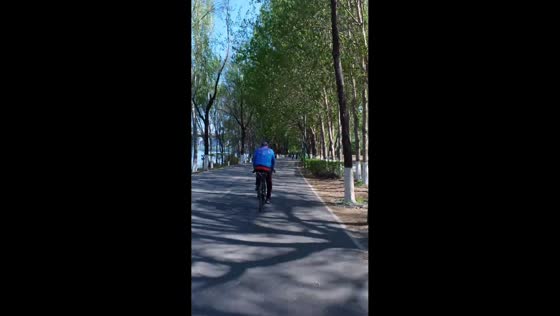 Cyclist collides with pedestrian on road in Liaoning, China