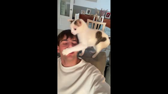 Cat slaps owner's mouth and hisses in surprise moment in Lebrija, Spain