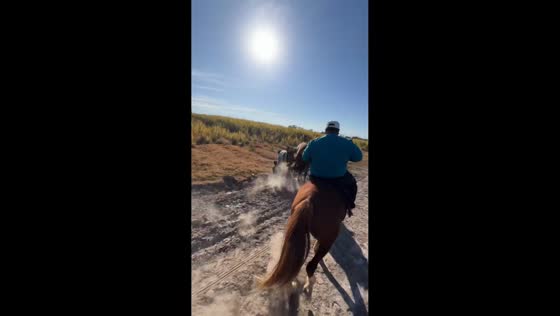 Horse bump causes rider and passenger to fall in San Miguel de Tucumán, Argentina