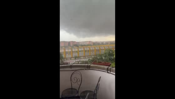 Tornado damages trees during severe storm in Rome, Italy
