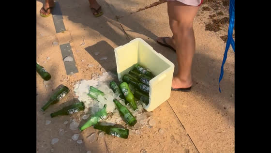 Friends drop icebox of beer in Santarém, causing laughter as bottles break