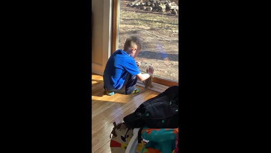 Innocent moment: Dalton Introduces Phoenix the lizard to the outside world
