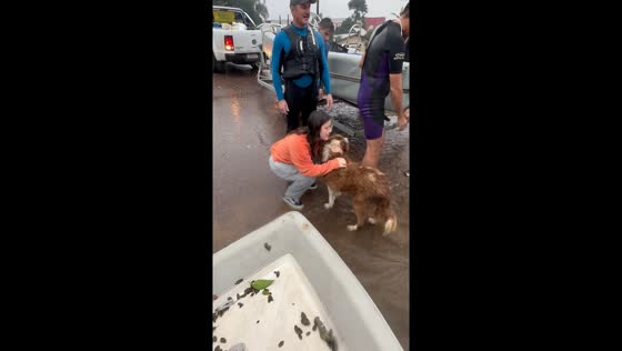 Emotional reunion: woman reunited with dog rescued from floods in Canoas, Brazil