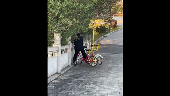 Person loses balance on quadricycle in Jiangxi, China