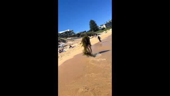 Beach prank with seaweed startles visitors on Central Coast, Australia