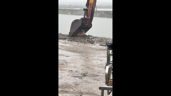 Dog shelters beneath excavator bucket during heavy rain in Guangdong, China