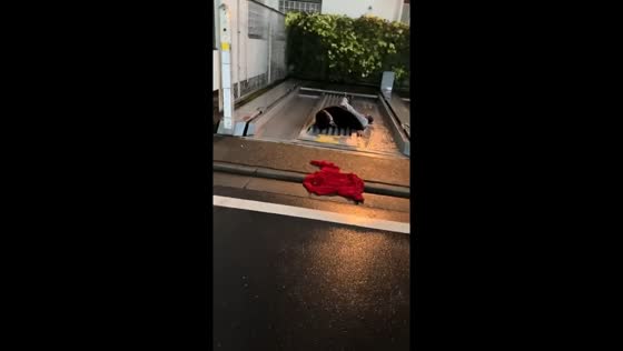 Friend takes a tumble attempting to kick plastic in rainy Guangxi