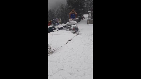 Multiple cars skid on slippery slope in Kufri, India
