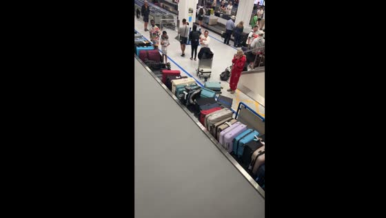 Baggage carousel chaos: suitcases spill in Manchester Airport