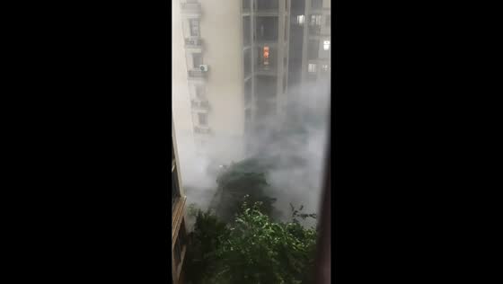 Typhoon Noul's powerful winds engulf residential district in Guangdong, China