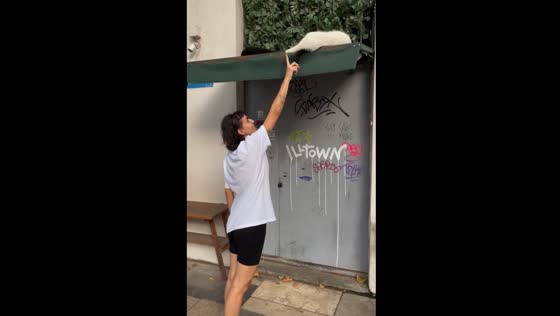 Cat’s leg moves hilariously after being touched in Tbilisi